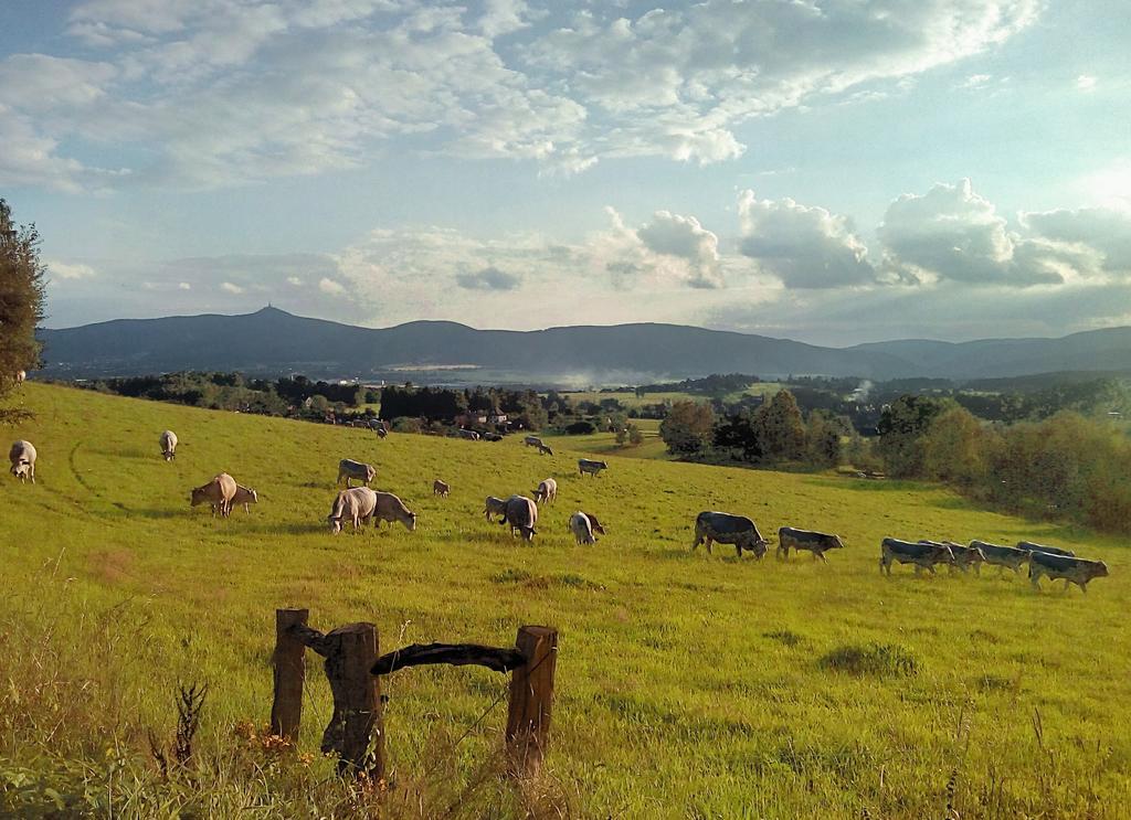 Penzion Vital Liberec Exteriör bild